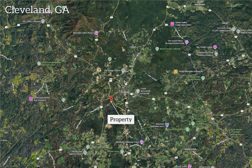 0 Tom Hunt Road Cleveland, GA 30528 - Photo 13 of 13