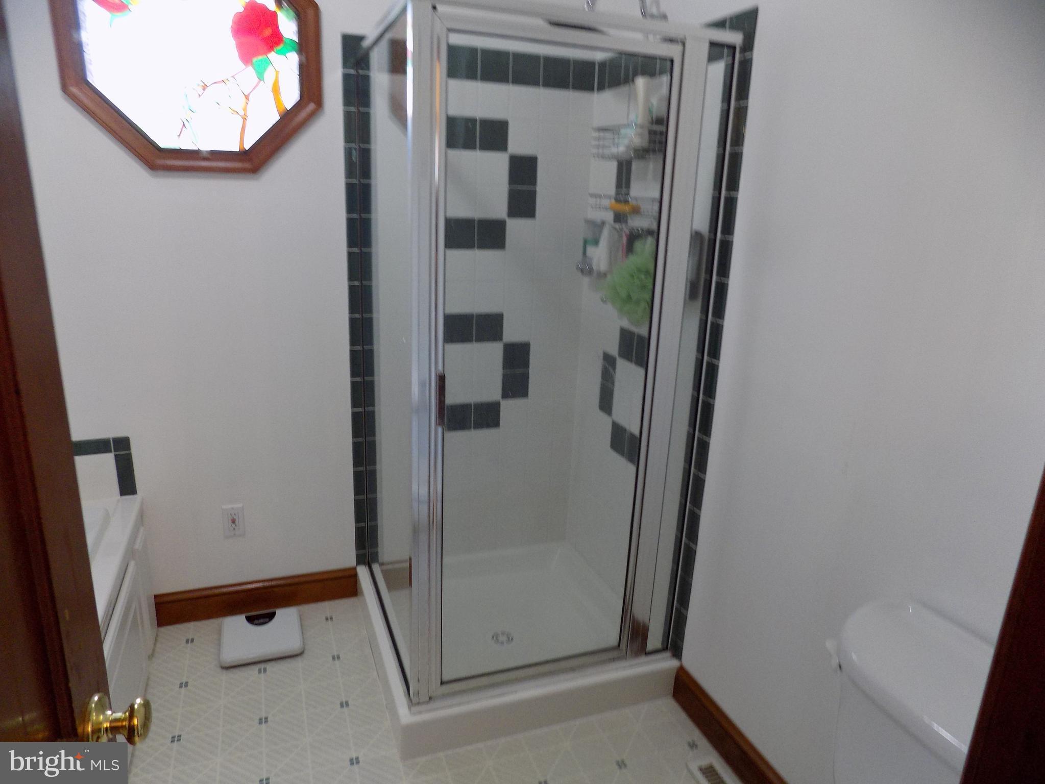 33 Mansion Road Linthicum Heights, MD 21090 - Photo 20 of 30 Bath (Master)