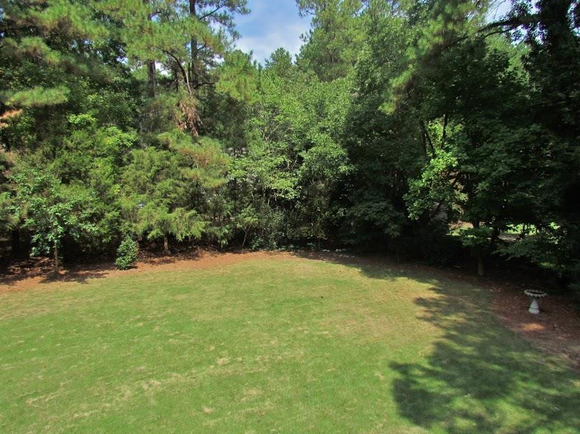 224 Bayleaf Drive Raleigh, NC 27615 - Photo 3 of 22 Photo 3