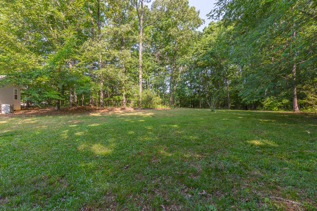 311 Johnson Road Chatsworth, GA 30705 - Photo 11 of 46 a backyard of a house with lots of green space