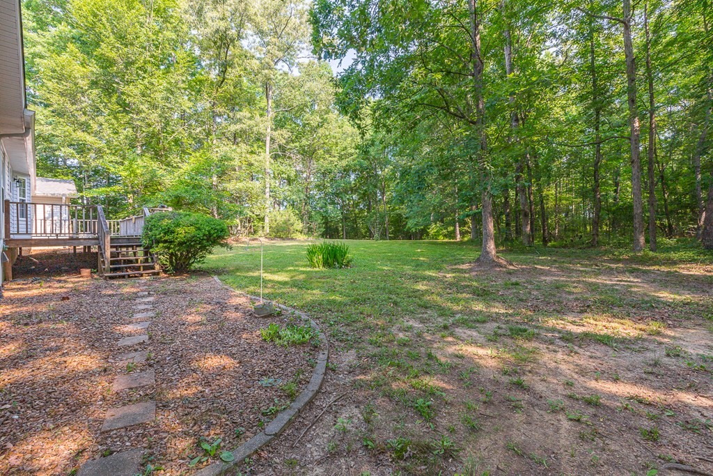 311 Johnson Road Chatsworth, GA 30705 - Photo 9 of 46 a view of a tree in a yard
