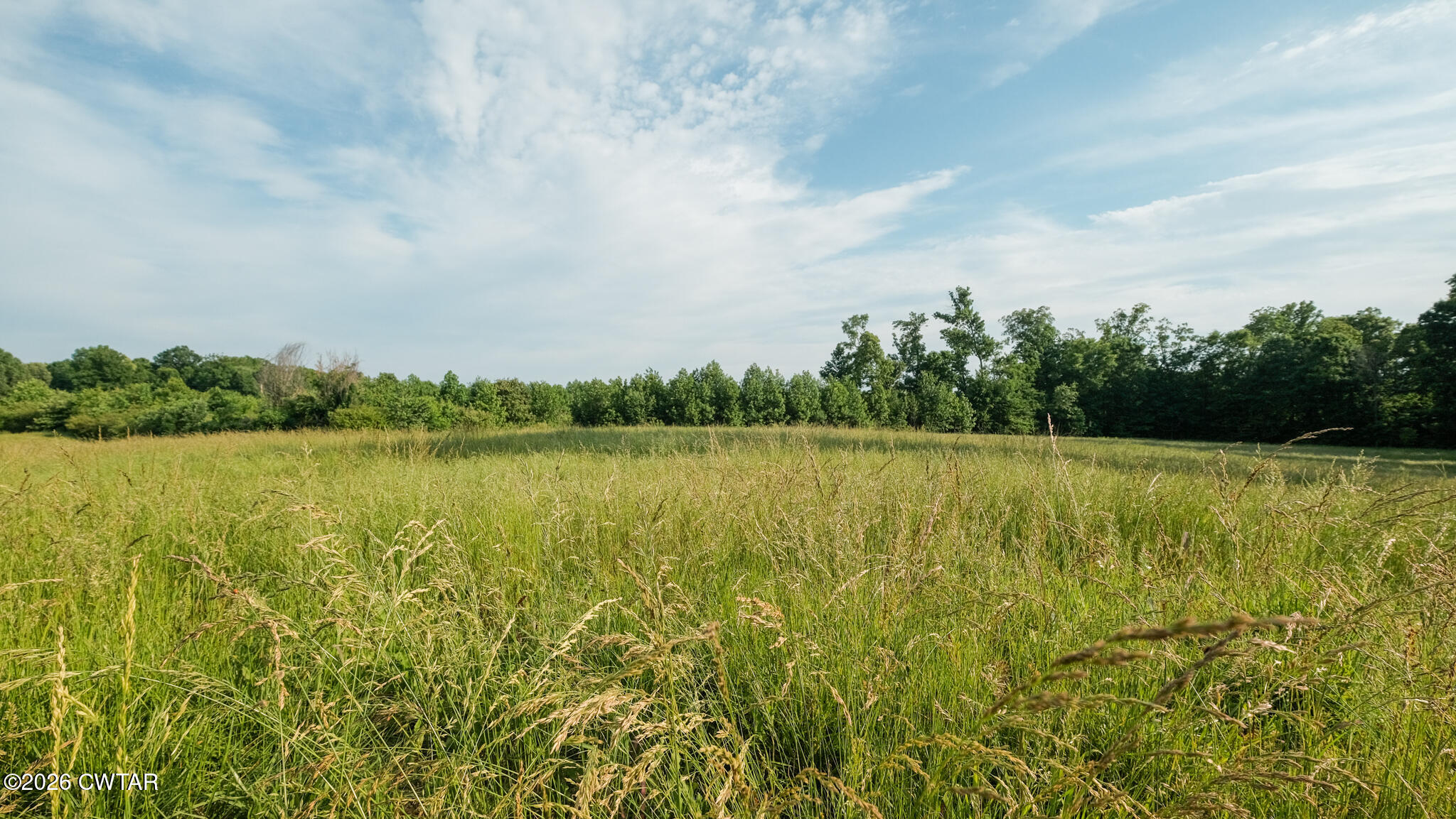 382 Mcadams Road Greenfield, TN 38230 - Photo 14 of 26 McAdams-6_(2048)