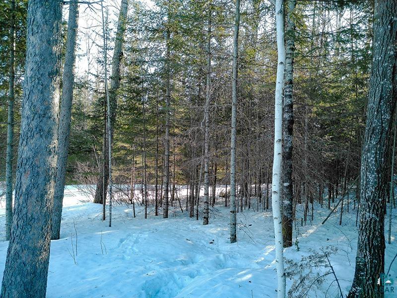 261 Caps Trail Lutsen, MN 55612 - Photo 35 of 53