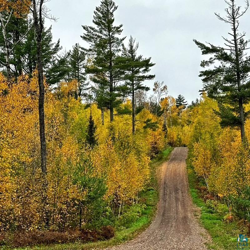 261 Caps Trail Lutsen, MN 55612 - Photo 40 of 59