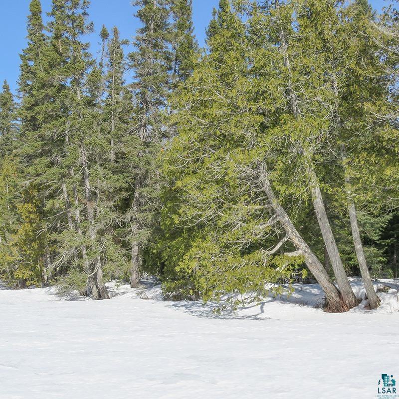 261 Caps Trail Lutsen, MN 55612 - Photo 42 of 53