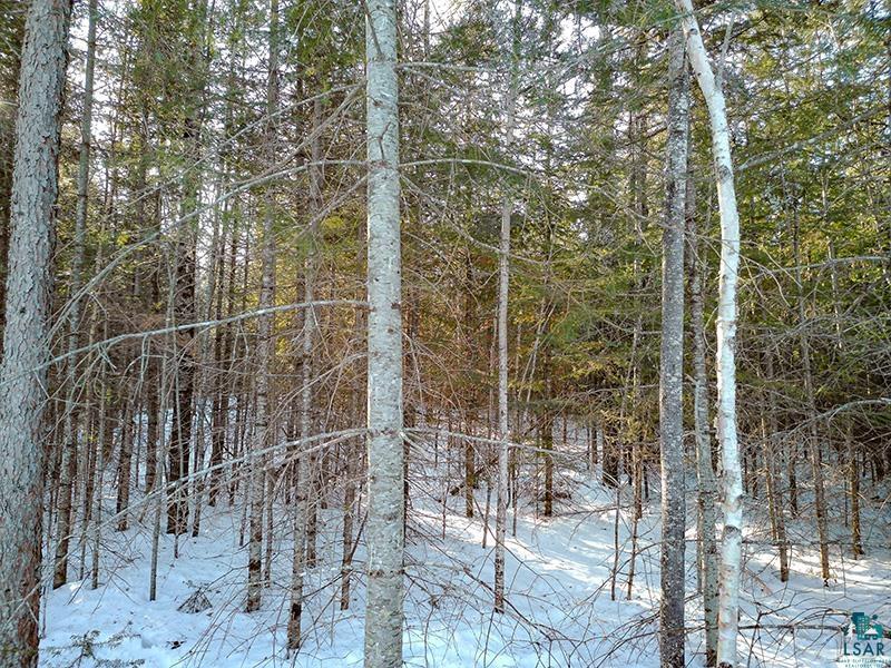 261 Caps Trail Lutsen, MN 55612 - Photo 47 of 59