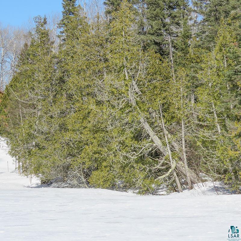 261 Caps Trail Lutsen, MN 55612 - Photo 52 of 59