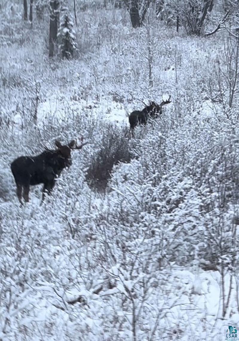 261 Caps Trail Lutsen, MN 55612 - Photo 59 of 59