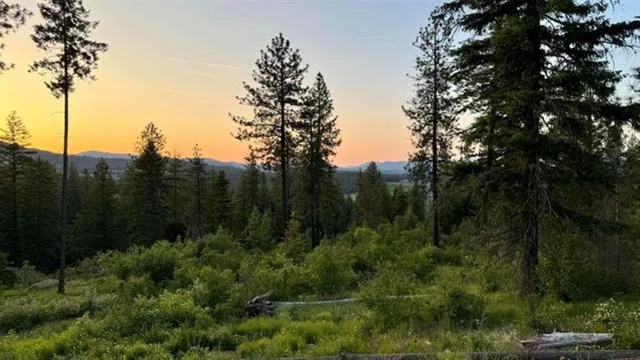 $200,000 | Tbd South Swenson Road, Colbert, WA 99005