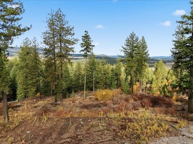 $200,000 | Tbd South Swenson Road, Colbert, WA 99005