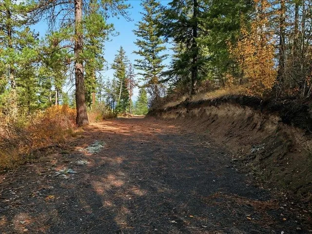 $200,000 | Tbd South Swenson Road, Colbert, WA 99005