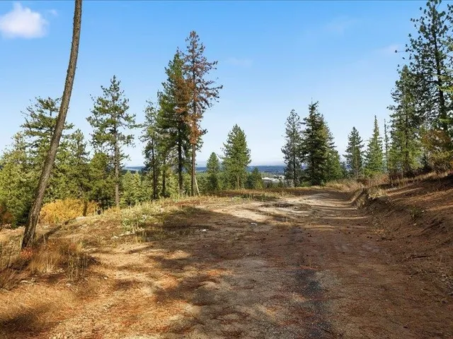 $200,000 | Tbd South Swenson Road, Colbert, WA 99005