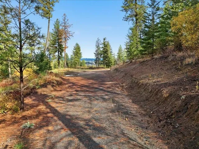 $200,000 | Tbd South Swenson Road, Colbert, WA 99005