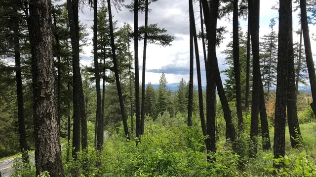 $200,000 | Tbd South Swenson Road, Deer Park, WA 99006