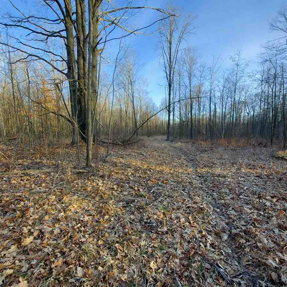 Tbd West Burns Road Coleman, MI 48618 - Photo 5 of 6