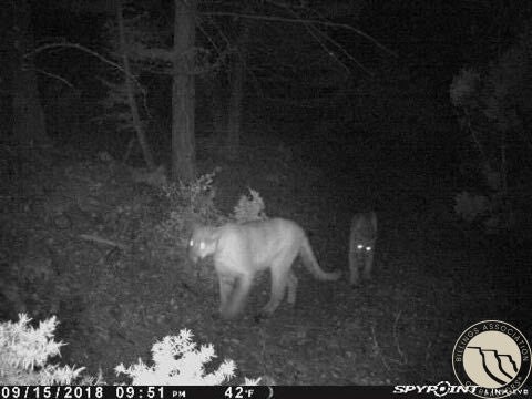 1 Rd Other Mount Toston, MT 59643 - Photo 17 of 19 Gallery Image 17