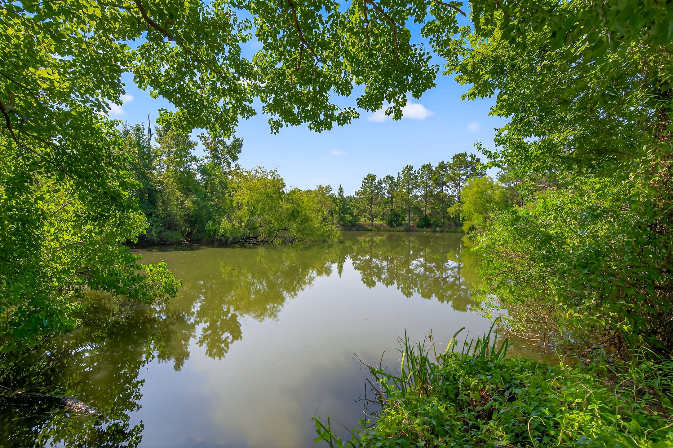 38011 Spur 149 Road Magnolia, TX 77354 - Photo 46 of 49 This photo showcases a serene, tree-lined pond with lush greenery, perfect for nature lovers seeking tranquility and a picturesque view from their home.