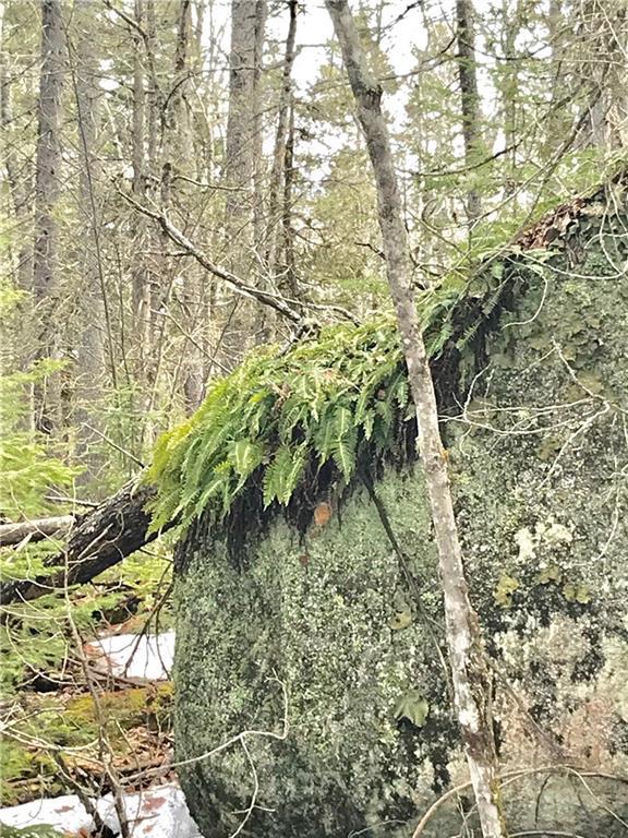 0 Short Point Way Penobscot, ME 04476 - Photo 7 of 14 Photo