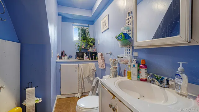 a bathroom with a sink vanity mirror and toilet
