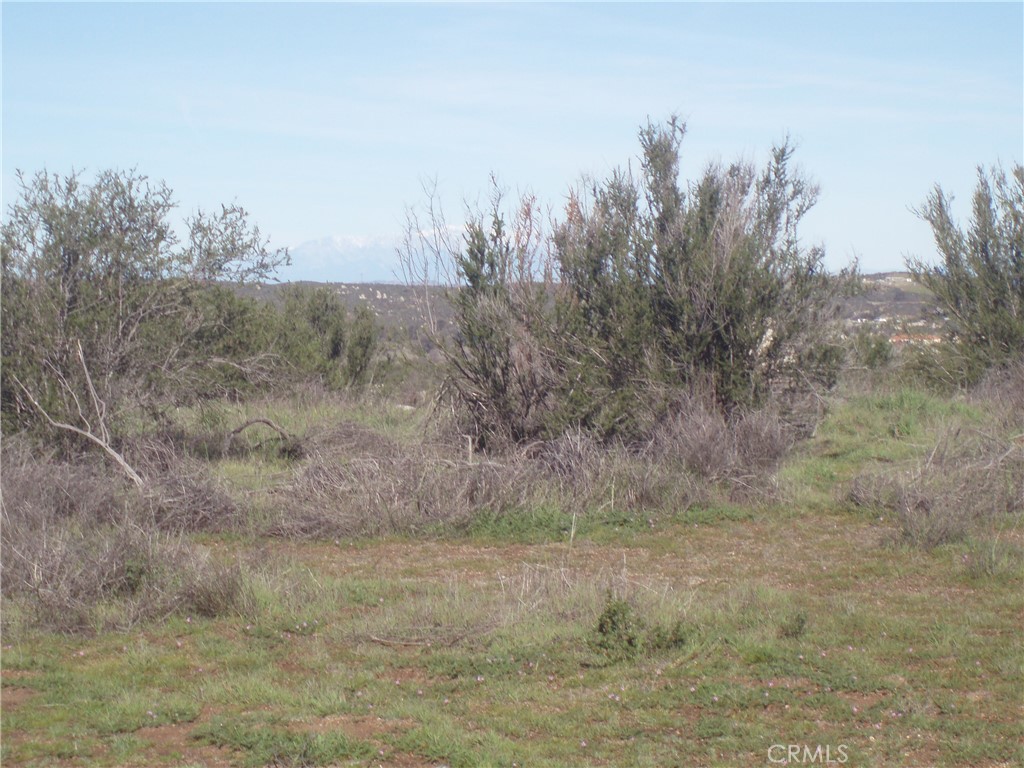 0 Linderman Road Hemet, CA 92544 - Photo 8 of 12 a view of a dry yard with trees in the background