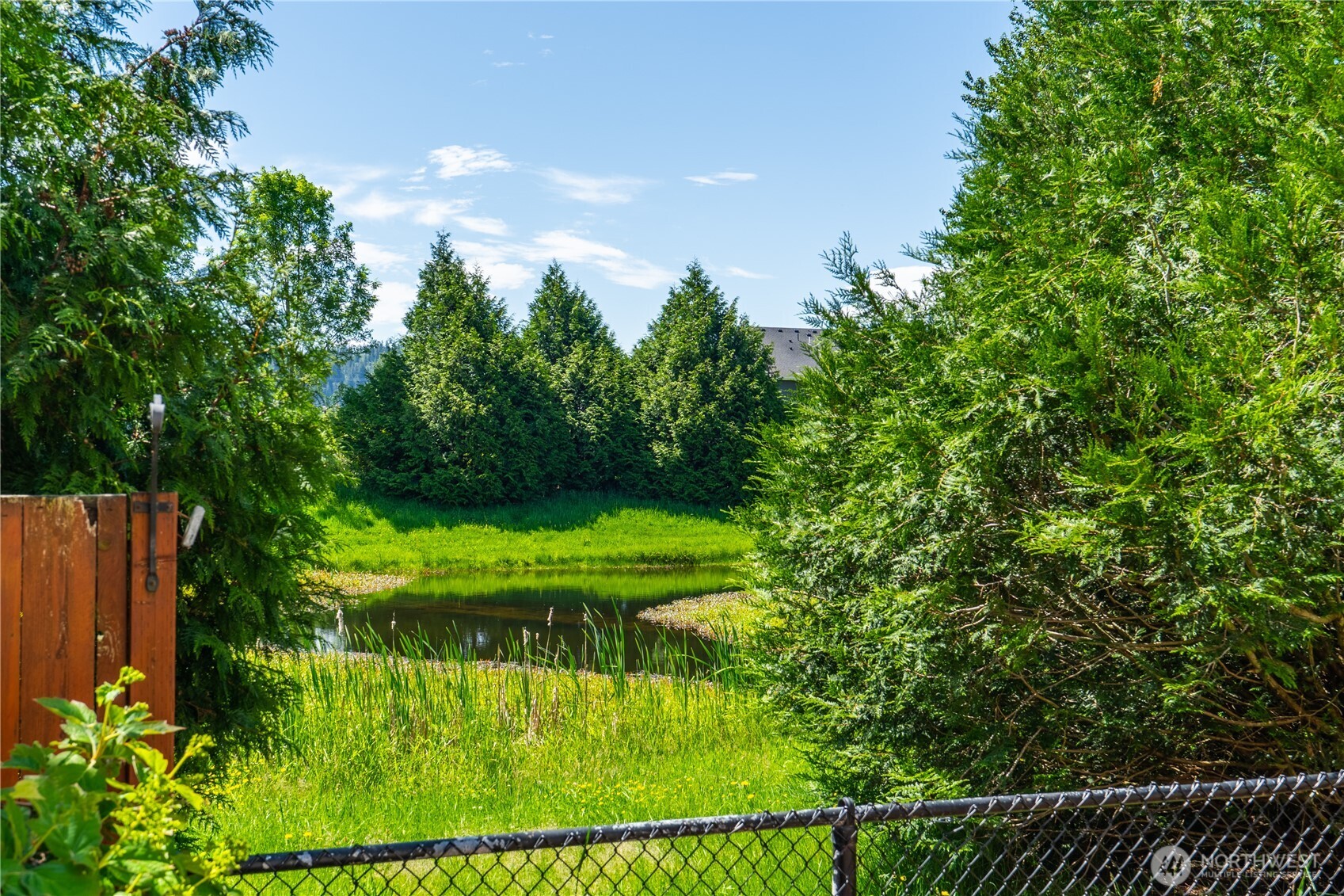 242 Riggs Drive East Enumclaw, WA 98022 - Photo 30 of 40 a view of a backyard