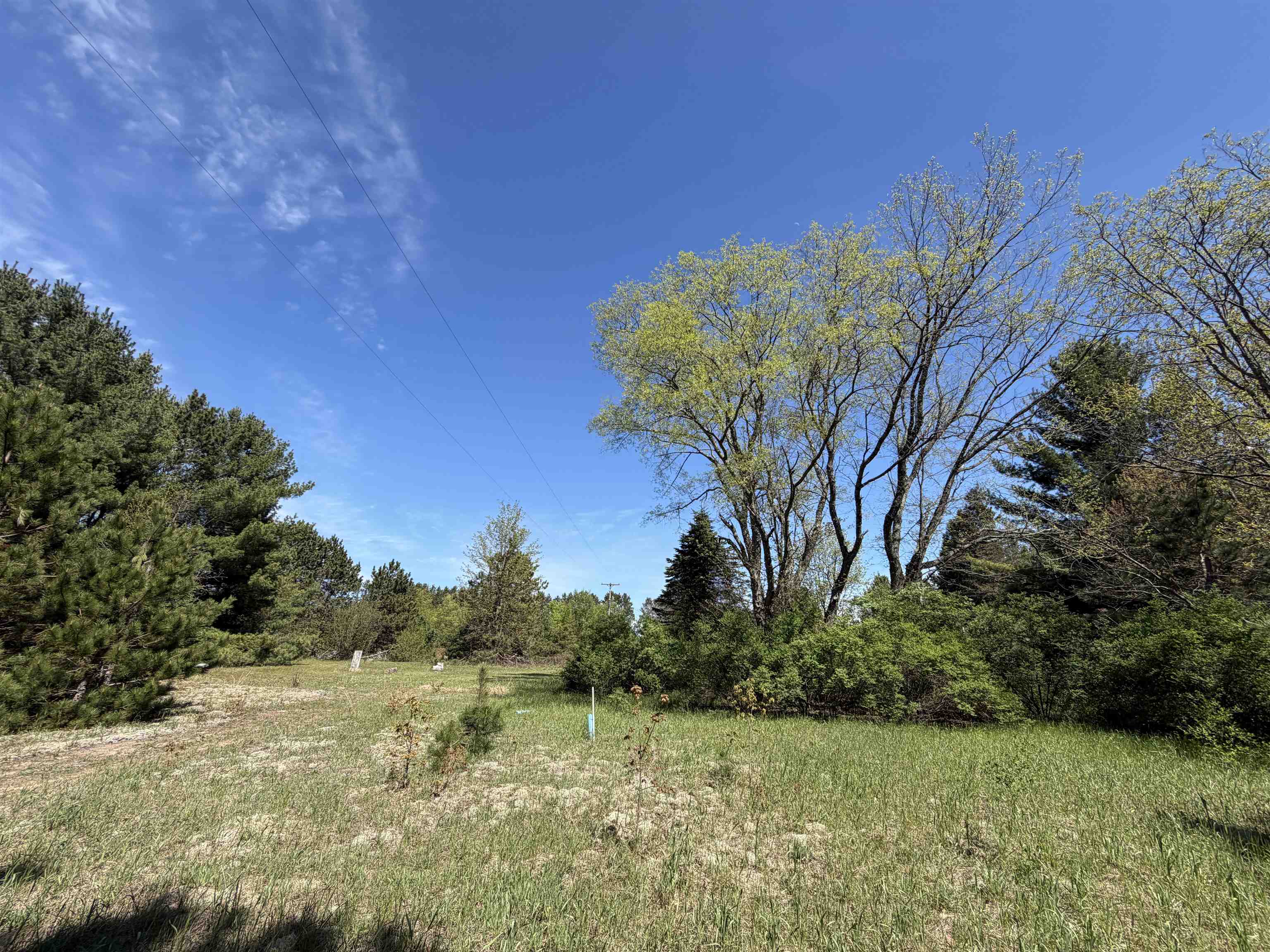 13158 Cinder Road Beulah, MI 49617 - Photo 41 of 46