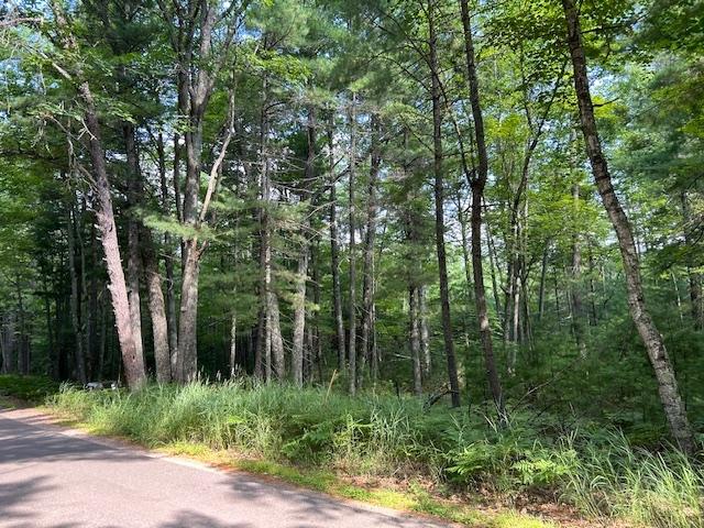 On Zeman Road Eagle River, WI 54521 - Photo 3 of 10 Gallery Image 3