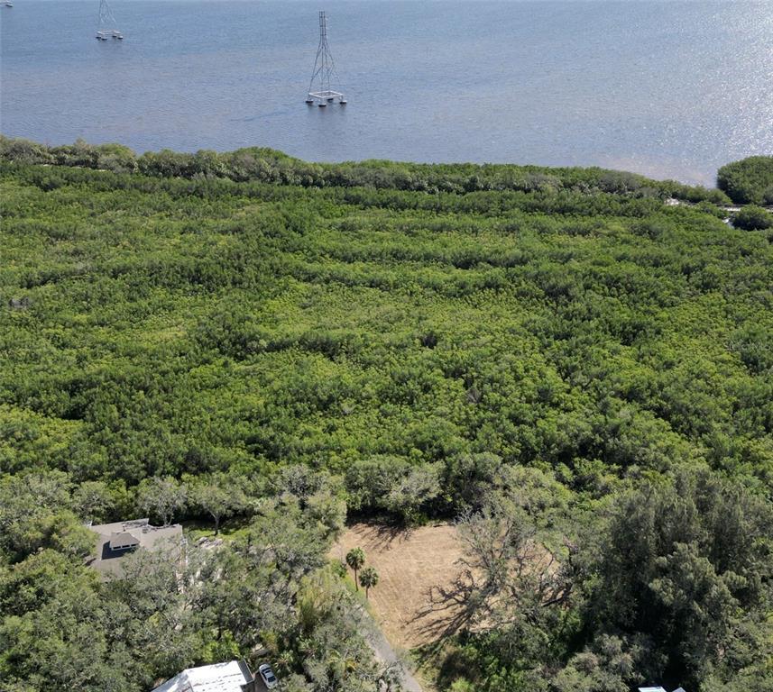 Irwin Street Safety Harbor, FL 34695 - Photo 13 of 14