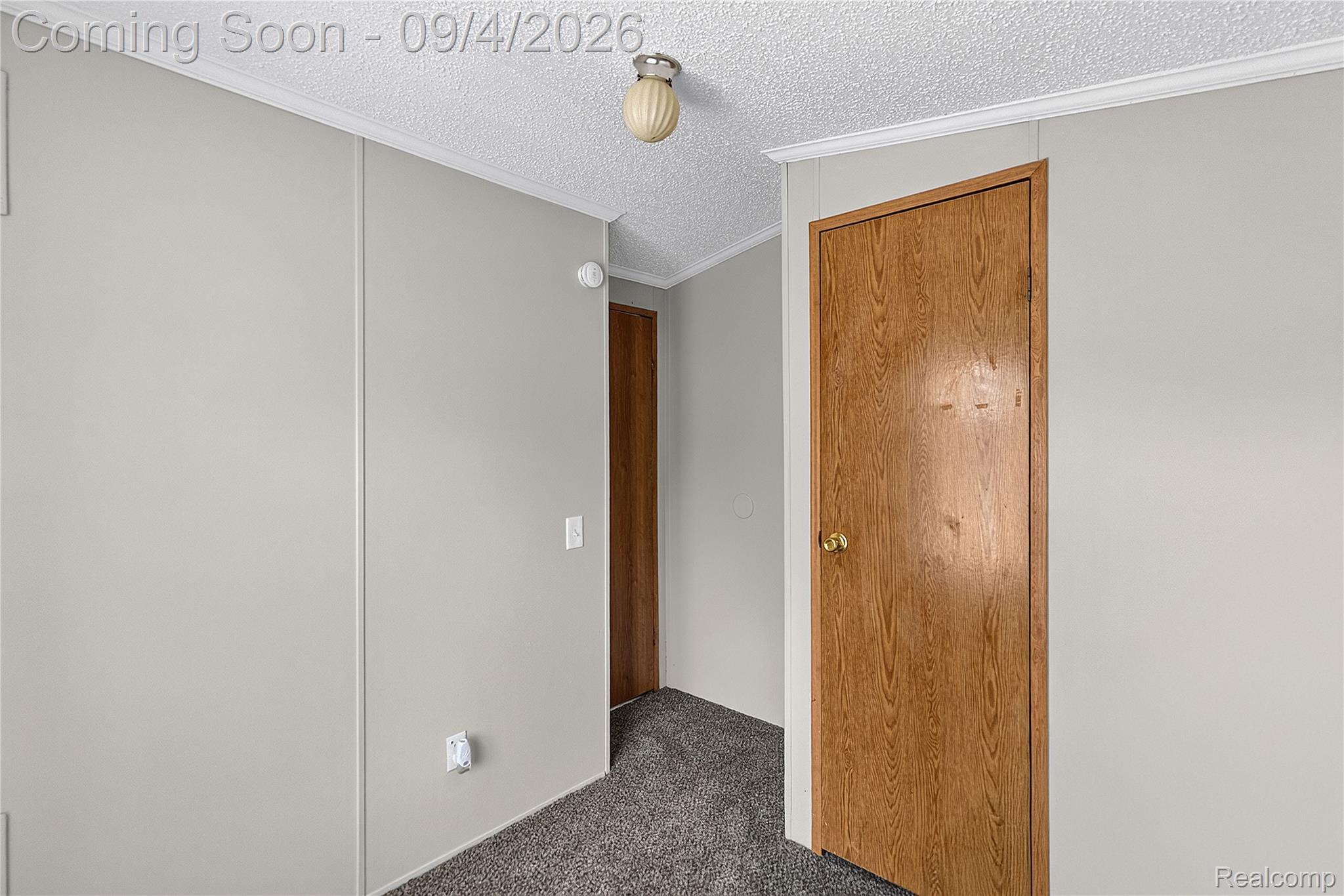 51074 Mott Road, Unit 200 Canton, MI 48188 - Photo 17 of 24 Gray wall paneling with white trim, wood-grain doors, and textured carpeting