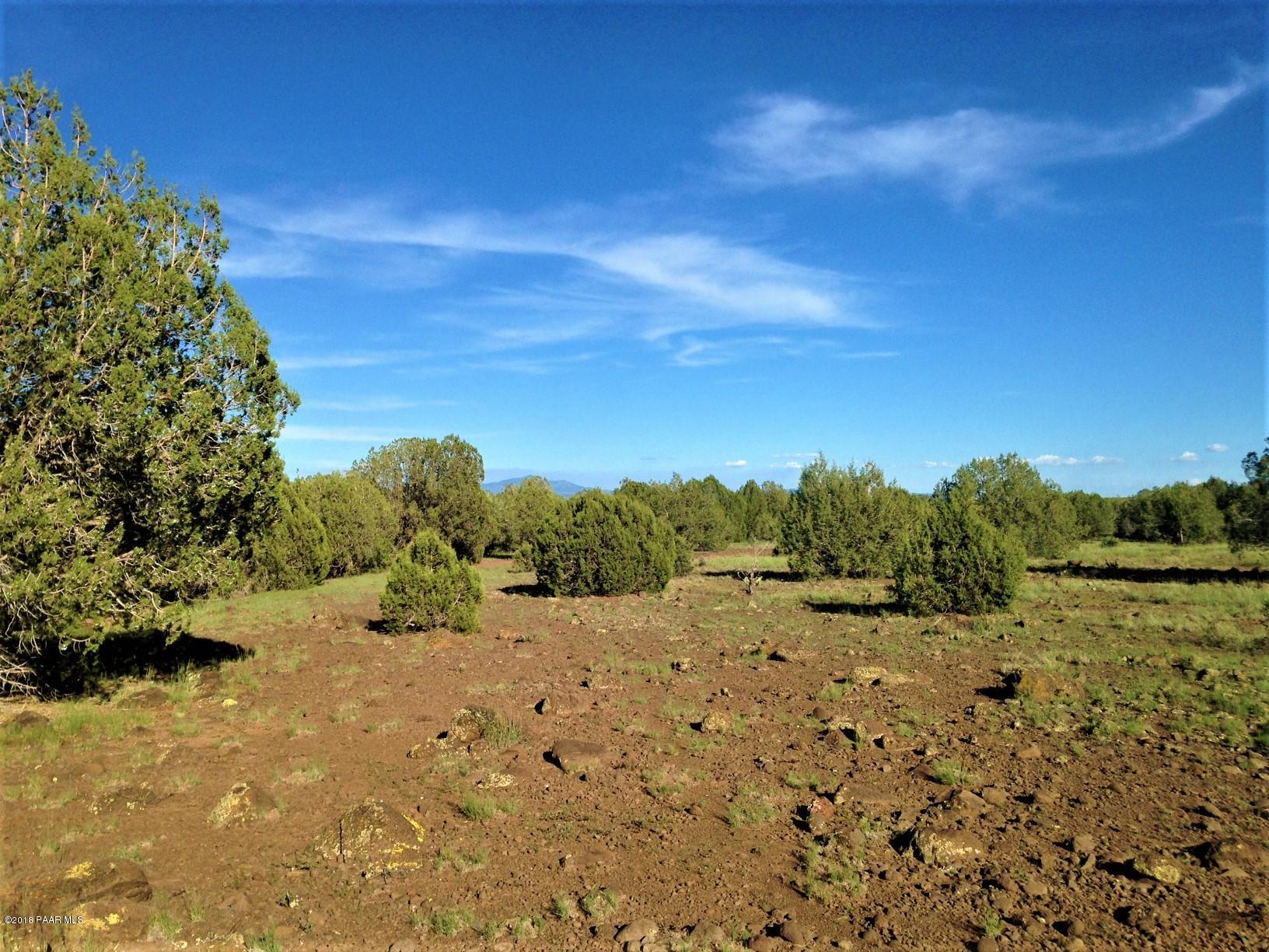 9188 Gleed Station Road Ash Fork, AZ 86320 - Photo 17 of 17 IMG_5565