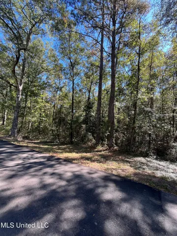 $52,000 | Hickory Drive, Richton, MS 39476