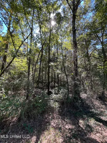 $52,000 | Hickory Drive, Richton, MS 39476