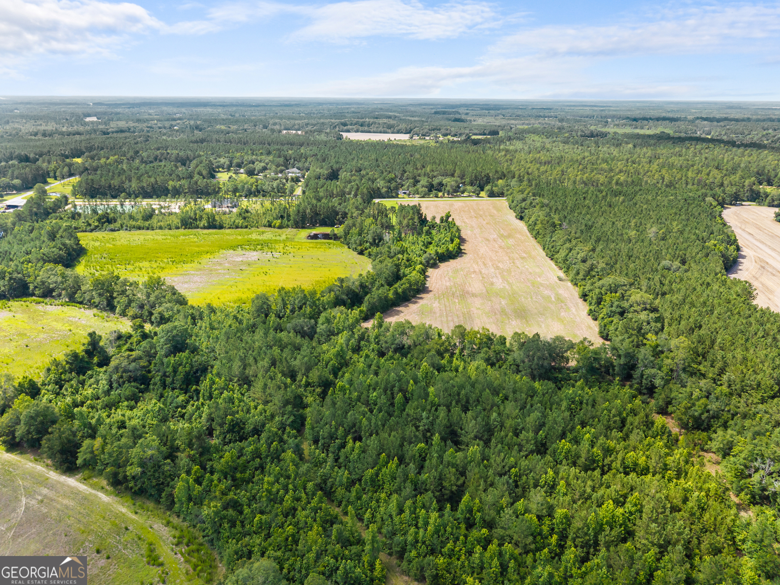 0 Fabled Lane, Unit LOT 5 Pembroke, GA 31321 - Photo 16 of 22