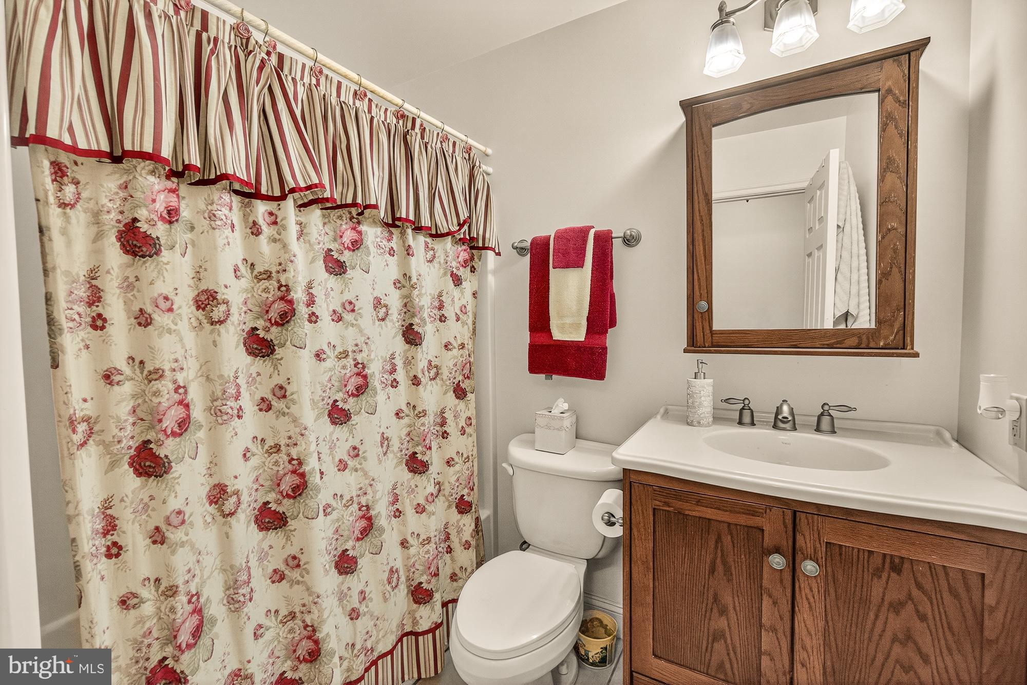 4948 Teen Barnes Road Frederick, MD 21703 - Photo 35 of 56 a bathroom with a sink a toilet and a mirror