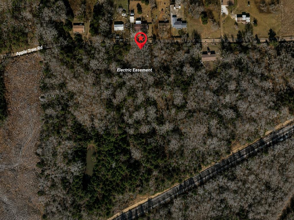 Tbd Apple Tree Road Gilmer, TX 75644 - Photo 2 of 13