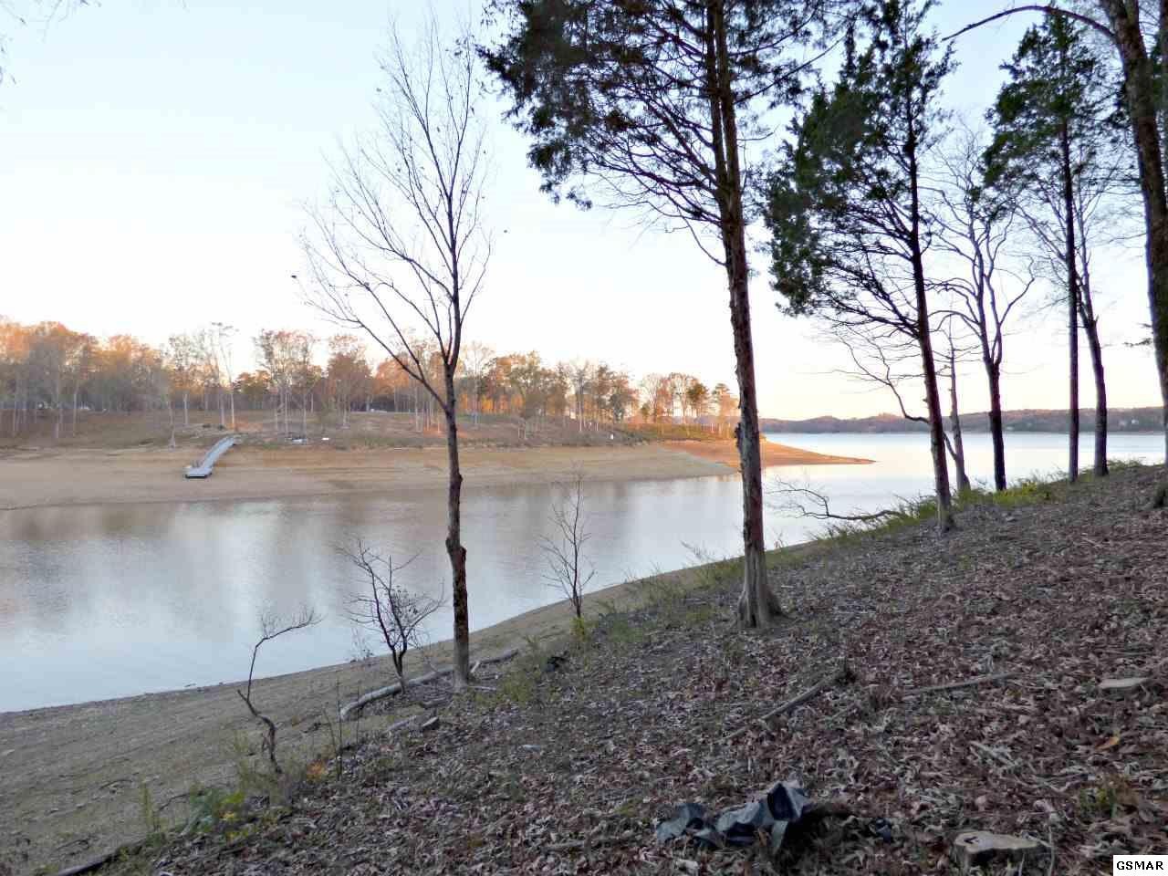 126 Ridge Point Trail Dandridge, TN 37725 - Photo 2 of 15 Gallery Image 2