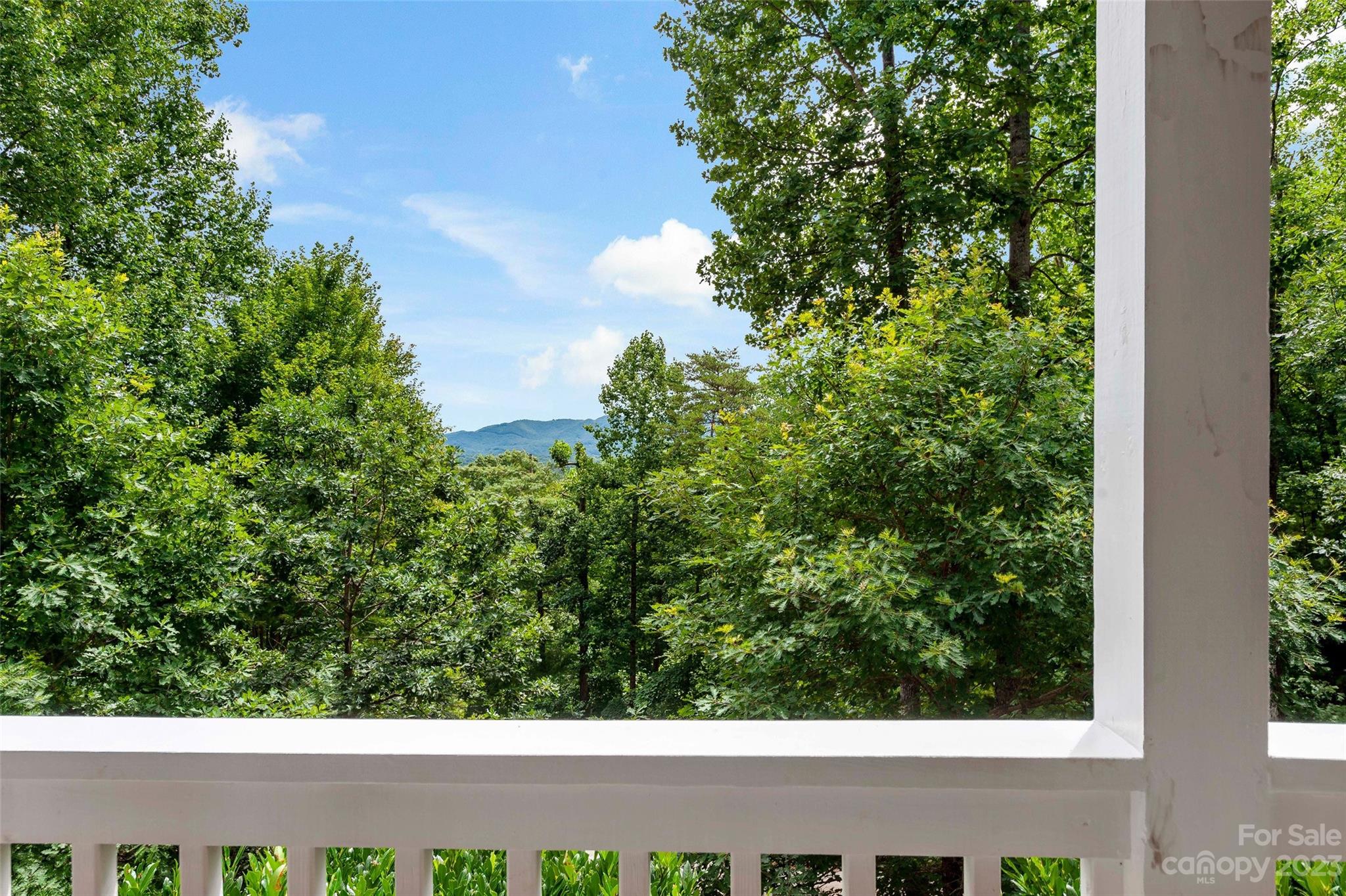 29 Hope View Road Swannanoa, NC 28778 - Photo 30 of 44 Gallery Image 30