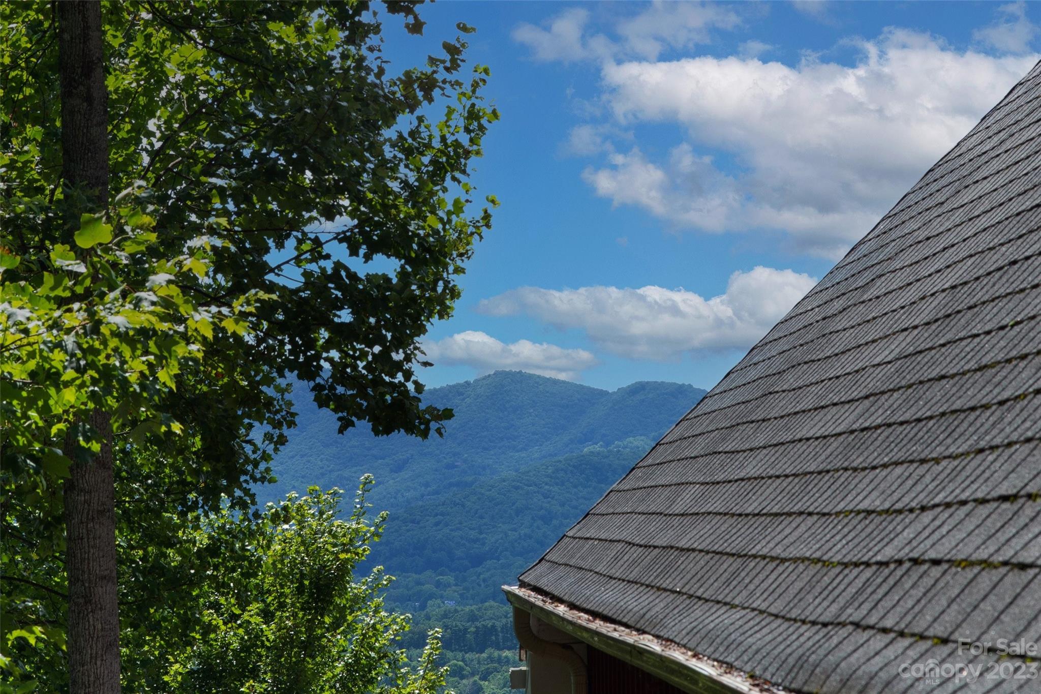 29 Hope View Road Swannanoa, NC 28778 - Photo 43 of 44 Gallery Image 43