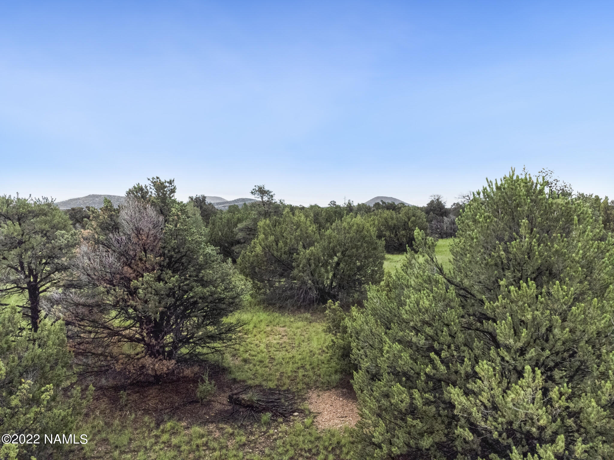 13769 Bly Sta Road Williams, AZ 86046 - Photo 2 of 15 97108B9E-2F9F-44B9-A6A5-0B48B641A625