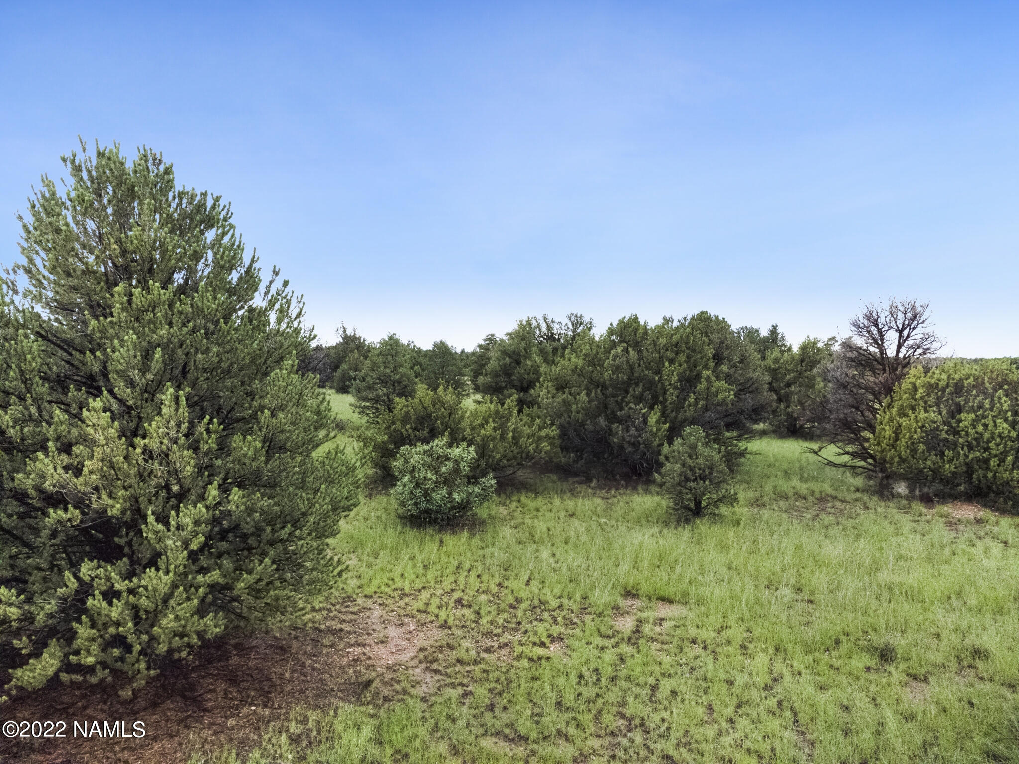 13769 Bly Sta Road Williams, AZ 86046 - Photo 3 of 15 F274DB1F-69B9-464B-AD74-D477628679FC