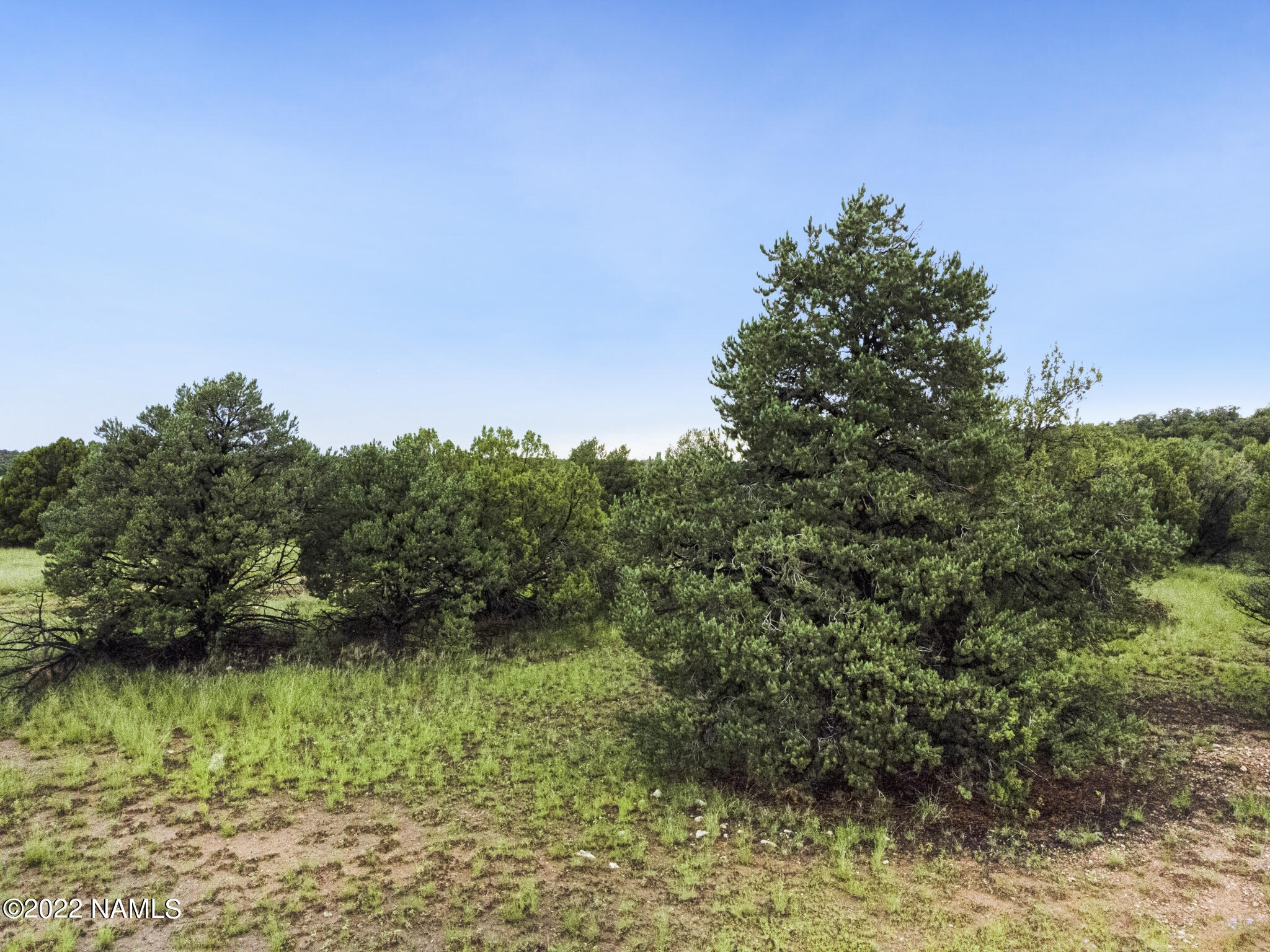 13769 Bly Sta Road Williams, AZ 86046 - Photo 5 of 15 FE325A3F-E2A4-452A-837F-99660F4C04DA