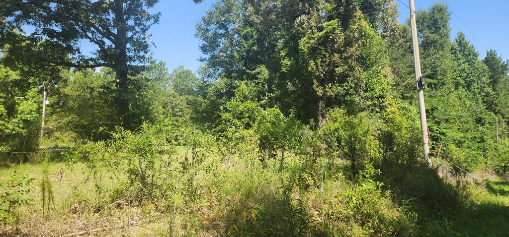 88 Morel Road Poplarville, MS 39470 - Photo 11 of 20 Gallery Image 11