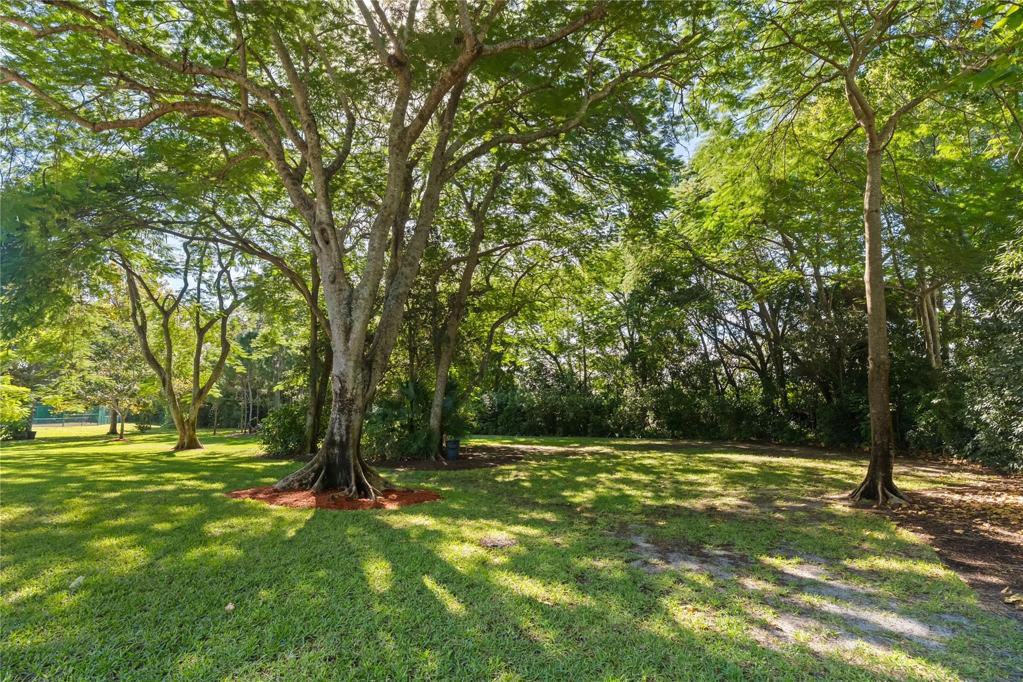 11326 Sundance Lane Boca Raton, FL 33428 - Photo 37 of 49 a view of outdoor space with trees all around
