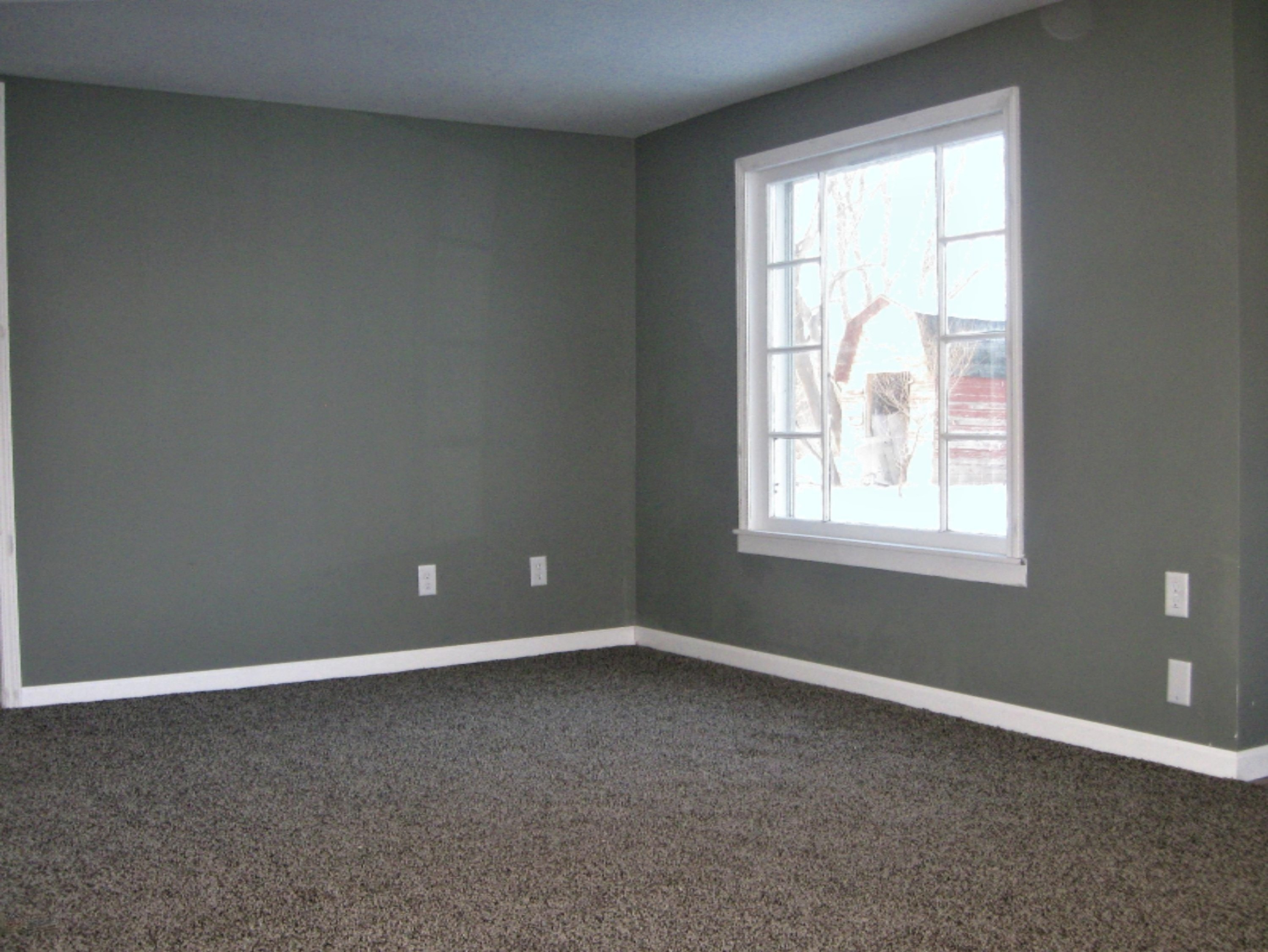5490 Howard City Edmore Road Edmore, MI 48829 - Photo 11 of 38 IMG_4417