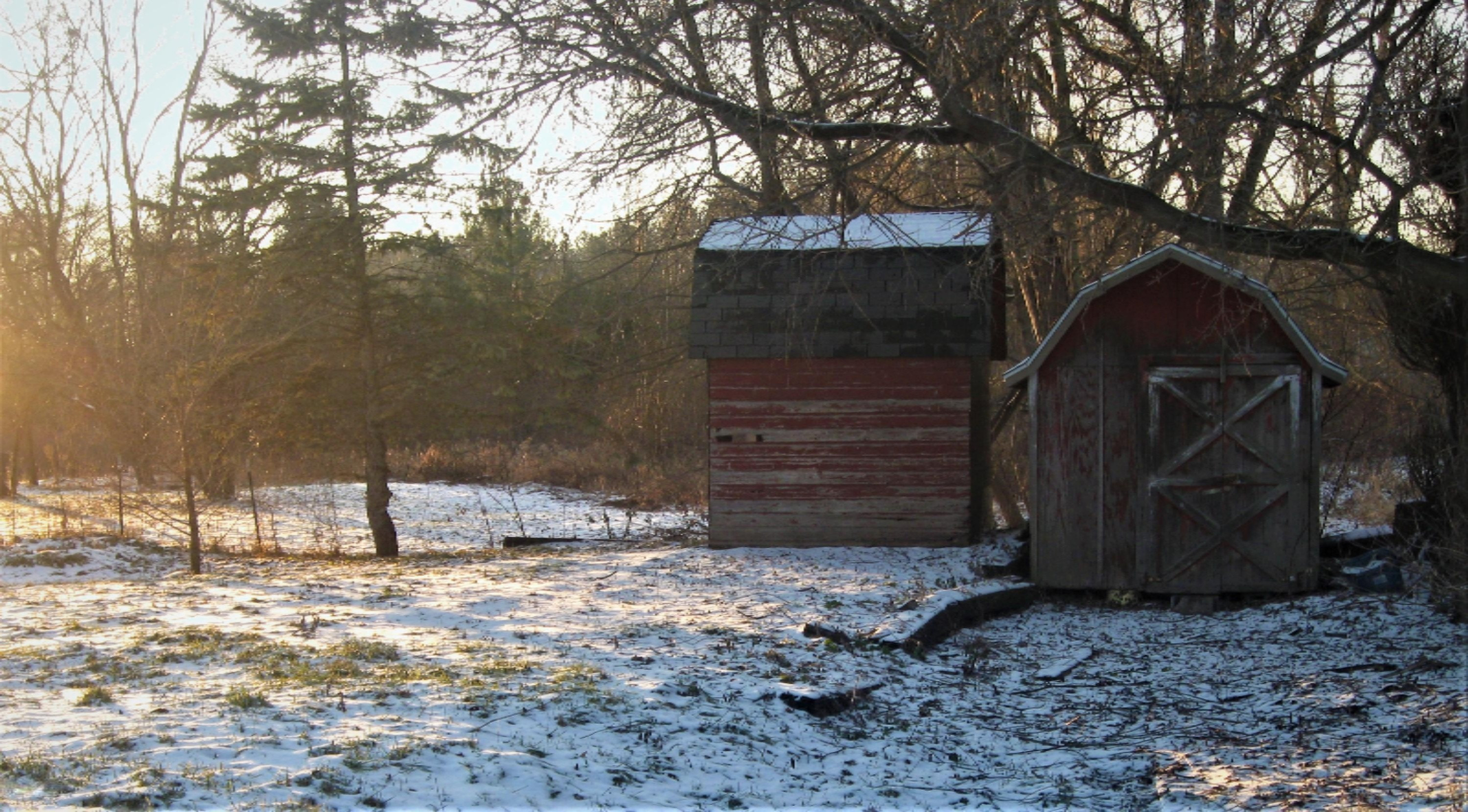 5490 Howard City Edmore Road Edmore, MI 48829 - Photo 38 of 38 IMG_4442