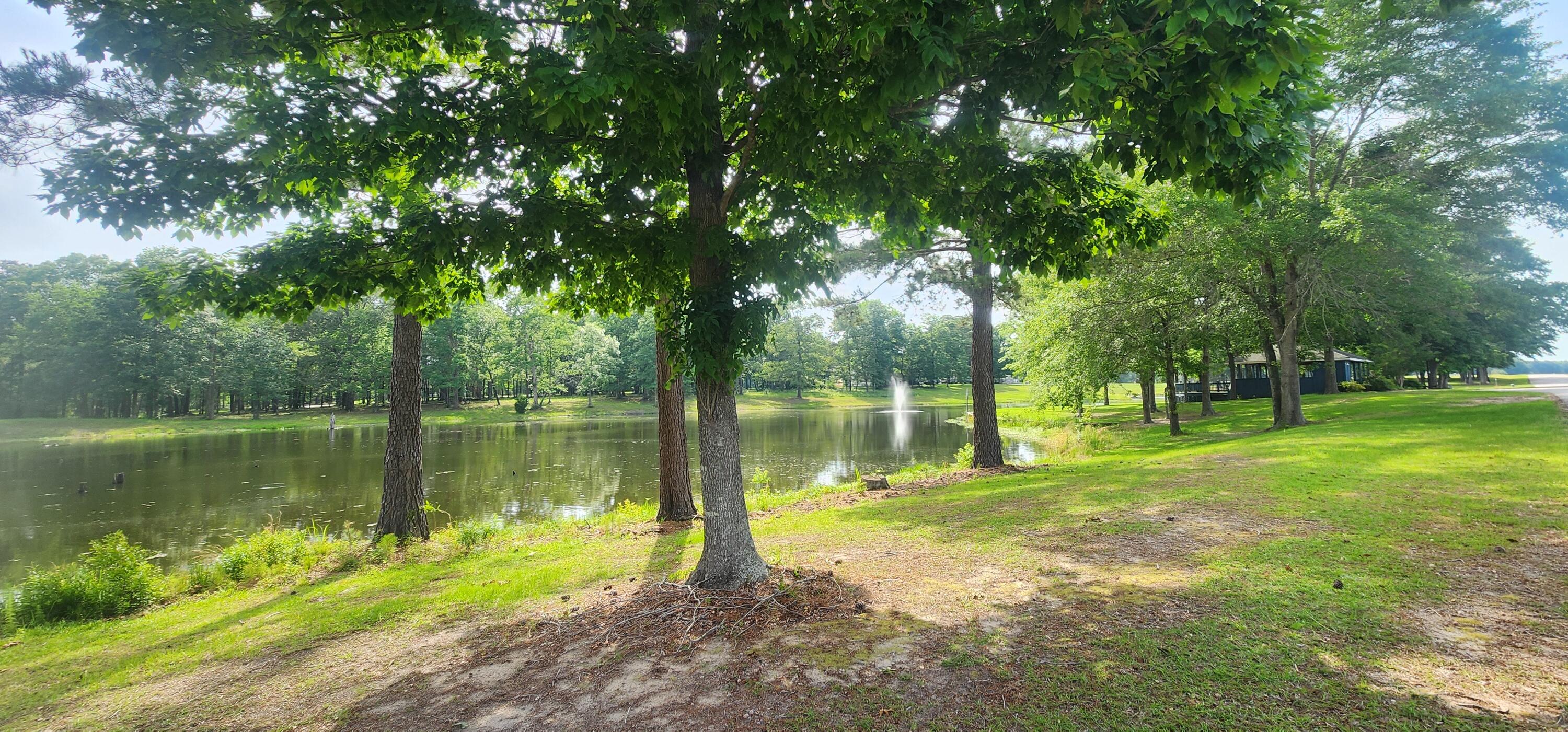 1315 Bojo Circle Manning, SC 29102 - Photo 5 of 13 20250516_163248