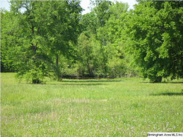 1736 Pine Dale Road Ashville, AL 35953 - Photo 13 of 19