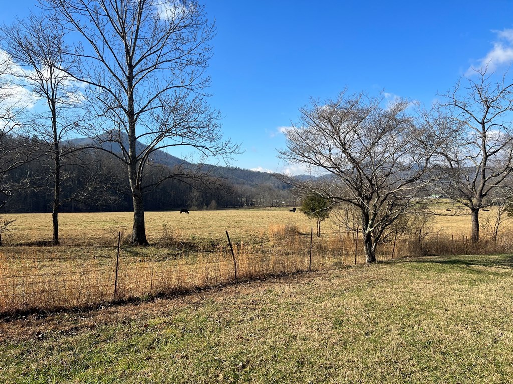 11 Katy Hollar Rd. Road Sevierville, TN 37862 - Photo 14 of 17