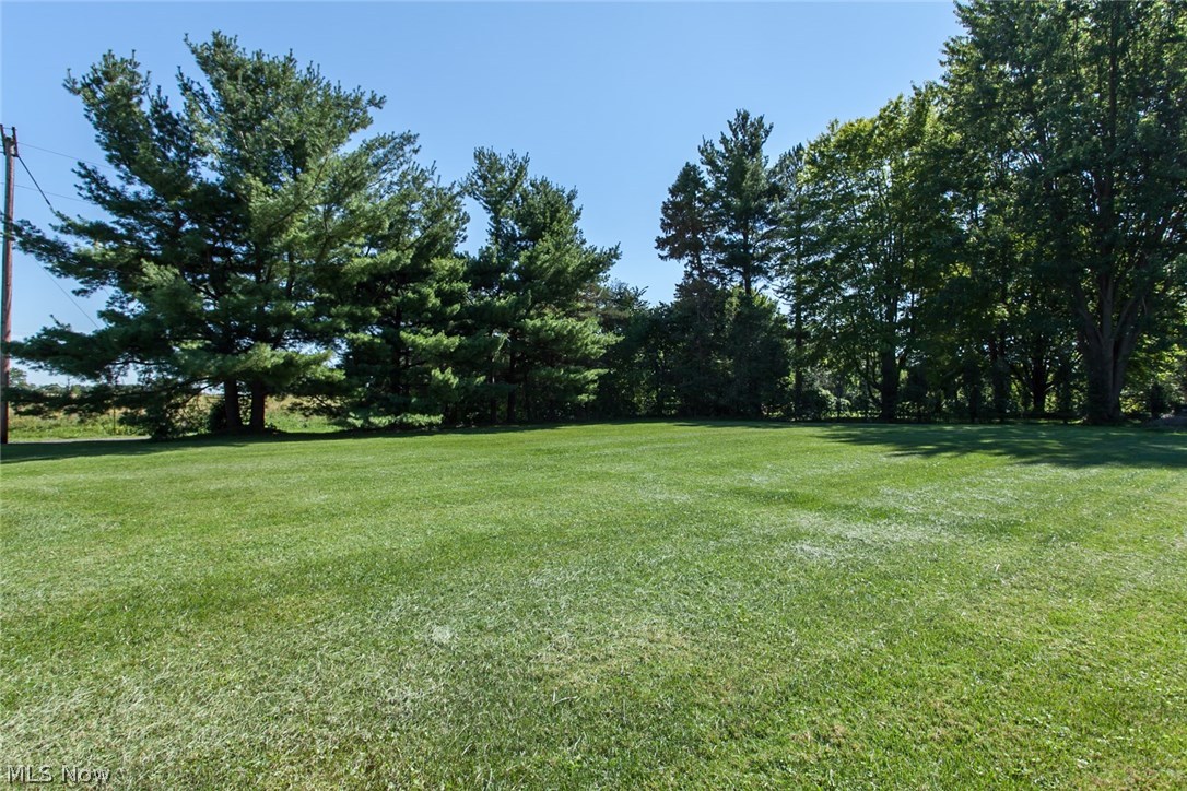 52323 Telegraph Road Amherst, OH 44001 - Photo 4 of 26 Gallery Image 4