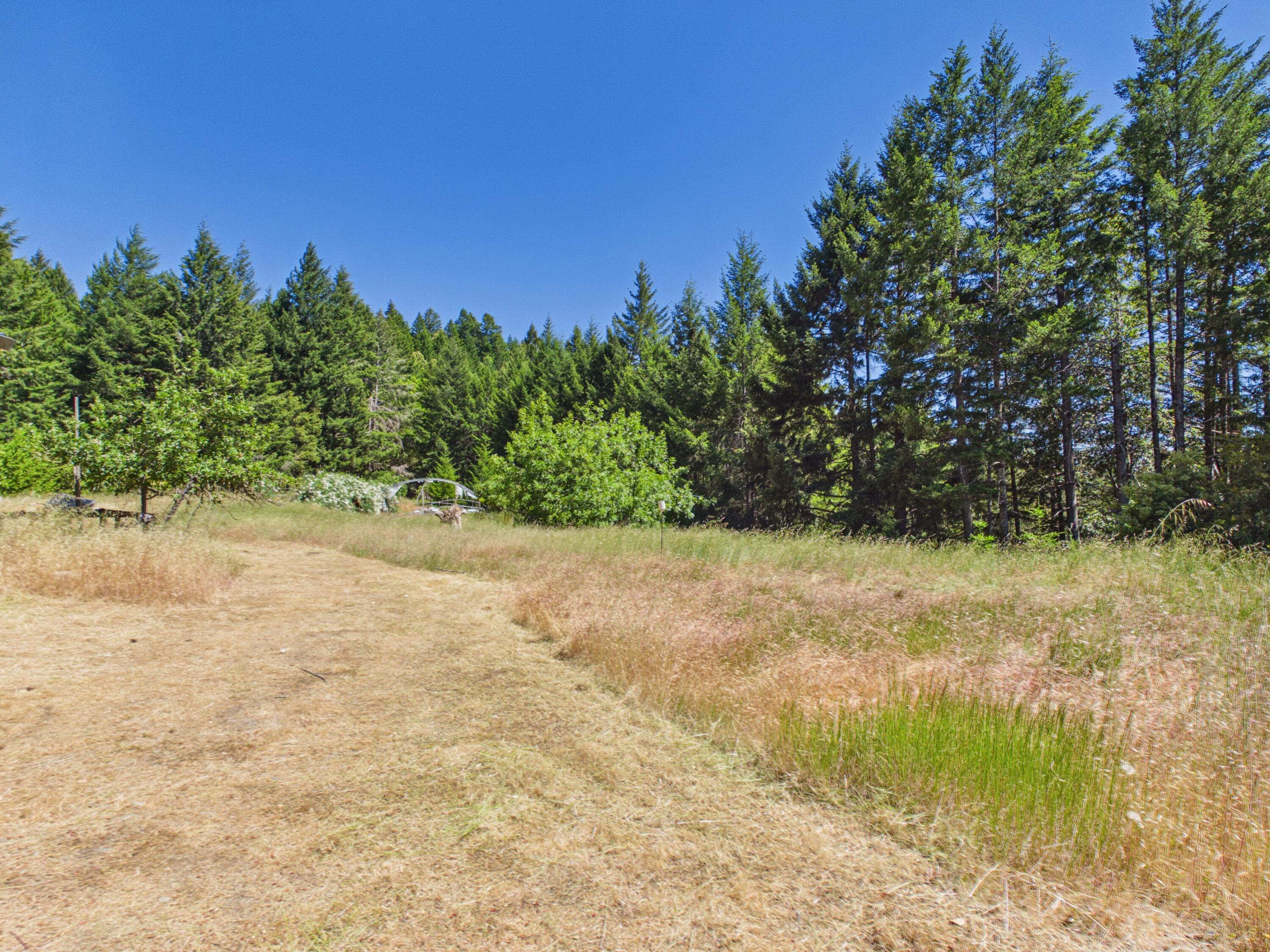 4840 Doody Ridge Road Garberville, CA 95542 - Photo 58 of 80